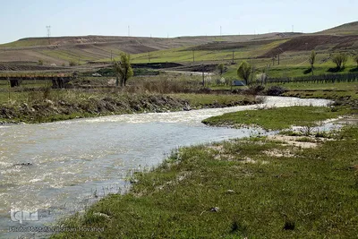 باز به صحرا رسید کوکبه ی نوبهار...