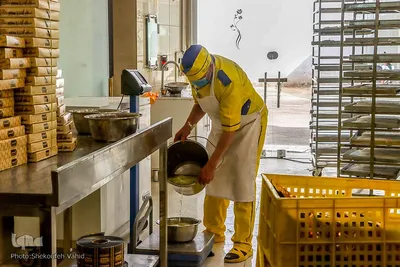 گز، مشهور‎ترین سوغات اصفهان