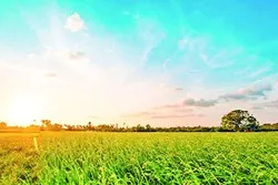 ভারতবর্ষে কৃষিশিল্পের বিকাশে মুসলমানদের অবদান