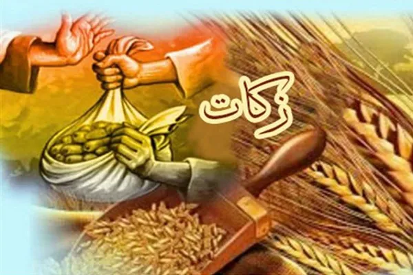 افزایش ۲۱ درصدی پرداخت زکات در هرمزگان