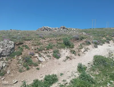 طبیعت بهاری ارتفاعات سامبران در جاده اهر