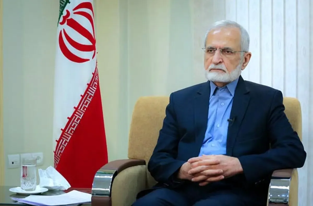 ایروانی: ترور کمال خرازی در راستای خاموش ساختن حامیان تعامل مسالمت‌آمیز است