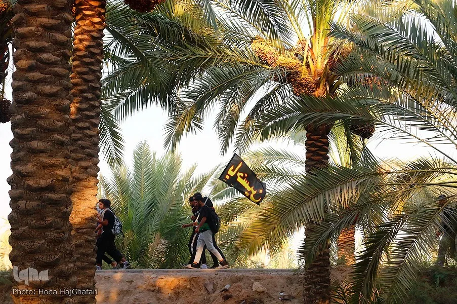 تقرير مصور...مسيرة زوار الأربعين في 
