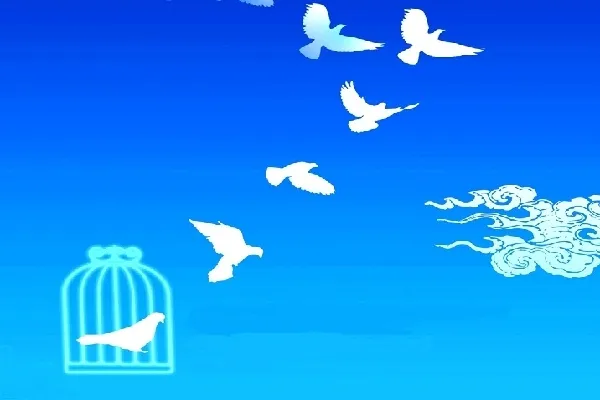 جشن گلریزان آزادی زندانیان در چهارمحال‌وبختیاری برگزار می‌شود