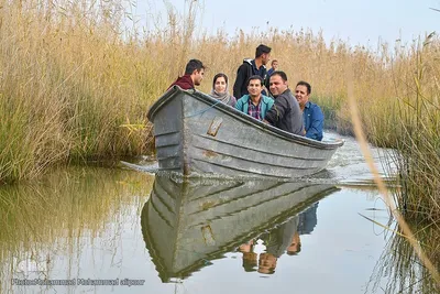 پیوند آب و آسمان در تالاب شادگان