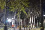 یک شب سرد پاییزی در پارک شیخ شهاب‌الدین اهری