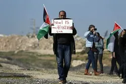 Irish MEP Calls Israel An Apartheid State  