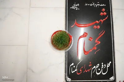 تحویل سال نو در کنار شهدا‎