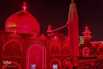 احیا در حرم امام علی‎‎