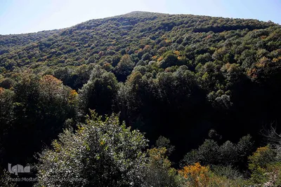 طبیعت زیبای گردنه «حیران» در آستارا