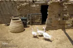 مردم غیزانیه از امکانات اولیه زندگی محروم هستند