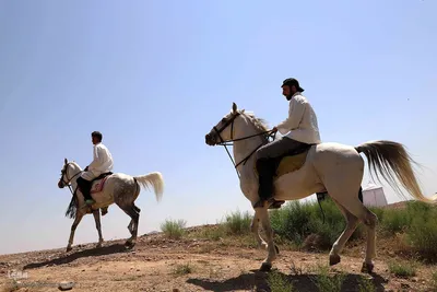بازسازی واقعه غدیر خم در اهر