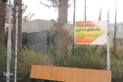 تجلیل از پرستاران بیرجندی خط مقدم کرونا