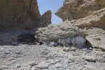 بازدید تور رسانه‌ای از کاکایی ارمنی در جزیره شاهسون دریاچه ارومیه و مزرعه پرورش آرتمیای بندر رحمانلو در عجب‌شیر