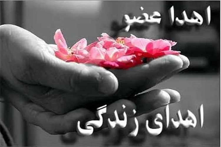 اهدای عضو در اسلام از قداست ویژه‌ای برخوردار است