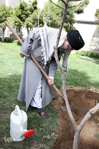 کاشت نهال توسط مقام معظم رهبری در هفته منابع طبیعی
