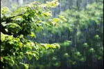 باران رحمت در آینه نیایش؛ مروری بر دعاهای امام سجاد(ع) و امام رضا(ع)