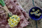 کارگاه نقاشی « قرمز پر رنگ» یادمان شهدای حمله تروریستی حرم شاهچراغ(ع)