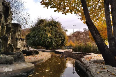 آخرین روز از پاییز 1400 در بوستان آزادی شیراز ‎‎‎‎
