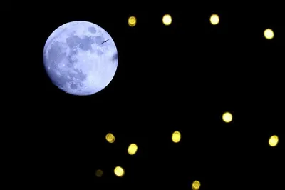 چراغانی کریسمس در آستانه سال نو میلادی در آلبانی