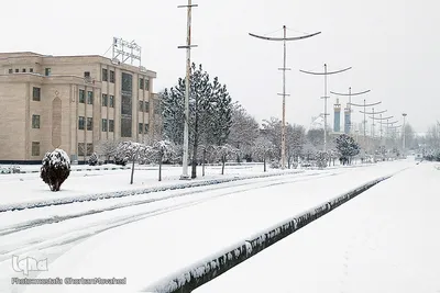 بارش برف در شهرستان اهر