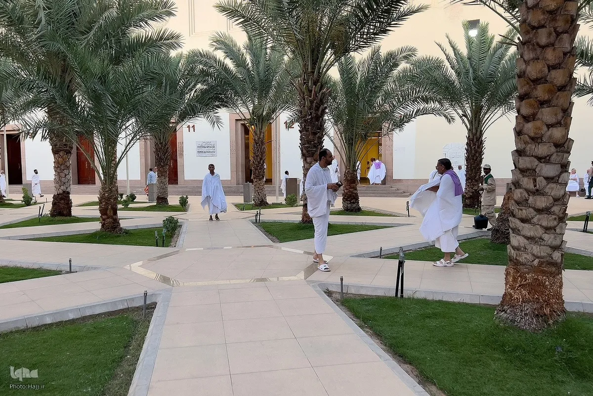 مسجد شجره کی سیر