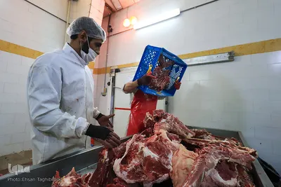 آغاز بسته بندی گوشت نذری حسینیه اعظم زنجان