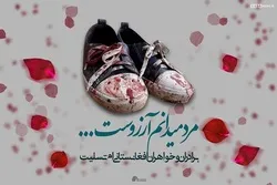 د روژې په مبارکې میاشتې کې هم ولې د افغانانو وینه په بوږنونکي ډول تویږي؟ موخې ئې له ښاغلي پاڅون څخه آورو