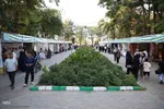 افتتاحیه نهمین دوره جشنواره سراسری ورنی در شهرستان اهر