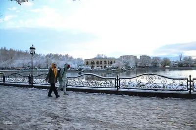 بارش اولین برف پاییزی در تبریز‎