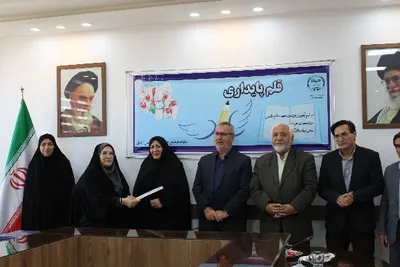 قلم پایداری