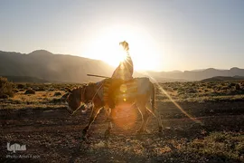 کوچ عشایر در فارس‎