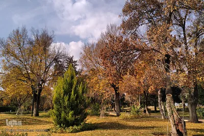 آخرین روز از پاییز 1400 در بوستان آزادی شیراز ‎‎‎‎