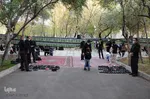 مراسم شب تاسوعا در دانشگاه تبریز‎‎