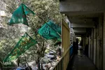 مراسم آیینی تعزیه خوانی و خیمه سوزان در مشهد

