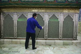 ضدعفونی کردن ضریح مطهر و رواق های حرم حضرت معصومه(س)
