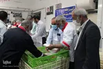 آغاز طرح اطعام مهدوی در خراسان‌جنوبی