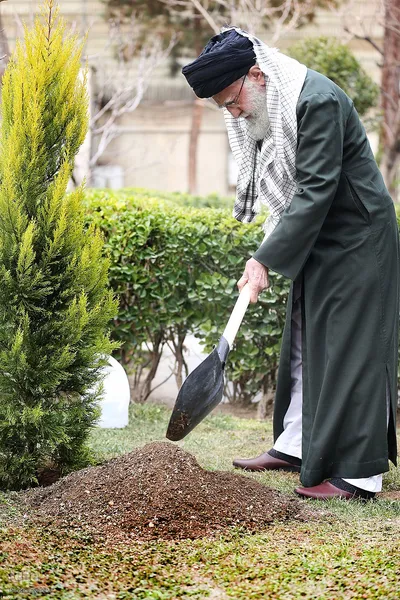کاشت نهال در هفته منابع طبیعی