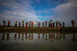 Myanmar Appoints Panel to Probe Rohingya Abuses