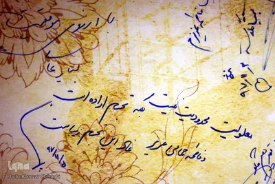 نمایشگاه نقاشی‌های فاطمه حمامی