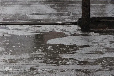 بارش باران در بیرجند