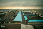 تولید ملی در صنعت دامپروری - قزوین