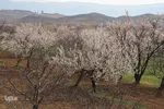 نوروز باستانی در منطقه ارسباران