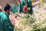 فیلم | گل‌آرایی ضریح مطهر حرم بانوی کرامت