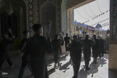 مراسم سوگواری ۲۸ صفر در شیراز