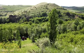 ریشه در خاک، سمبل مقاومت و ایستادگی