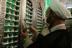 آیین گرامیداشت شاهچراغ(ع)‎‎