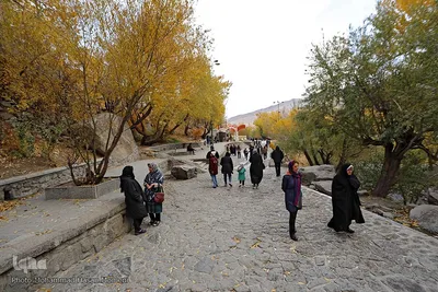 برگریزان پاییزی در همدان