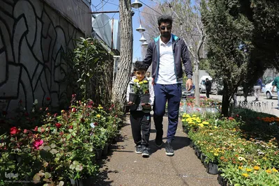بازار گل شیراز‎‎ در آستانه سال نو