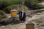 کاروان راهیان نور دانشجویان خارجی 
